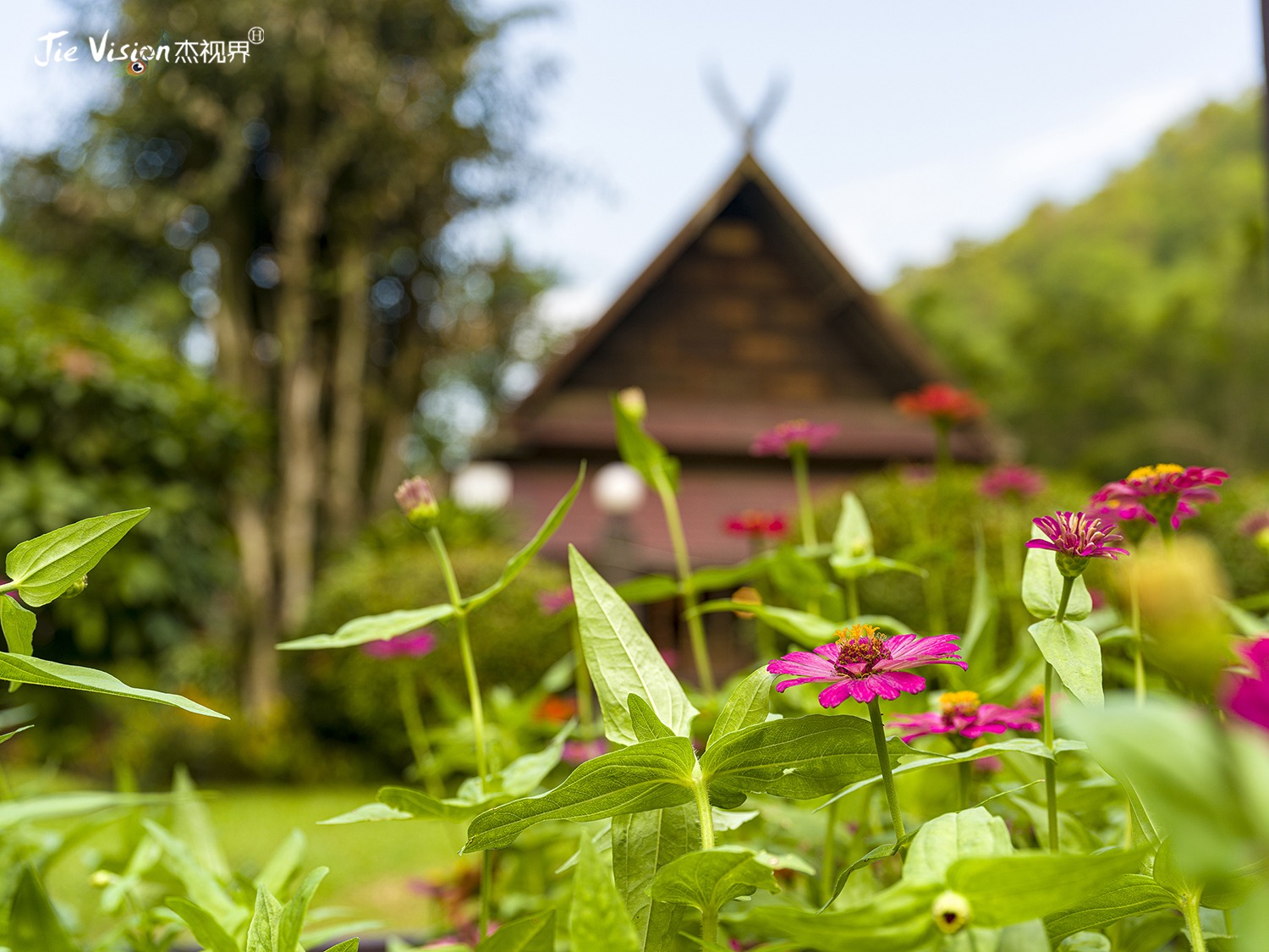 娉板浗娓呰繄鍥犱粬鍐滃北鍥藉鍏洯鏅偣,娉板浗娓呰繄鍥藉鍏洯