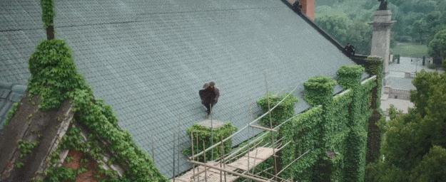 开年第一部国产谍战剧,最新谍战剧未播先火