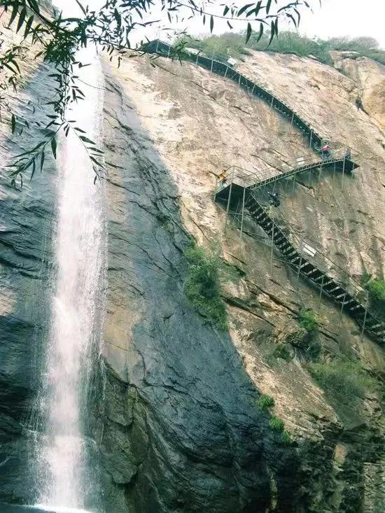 美好春景举家游,美好春日