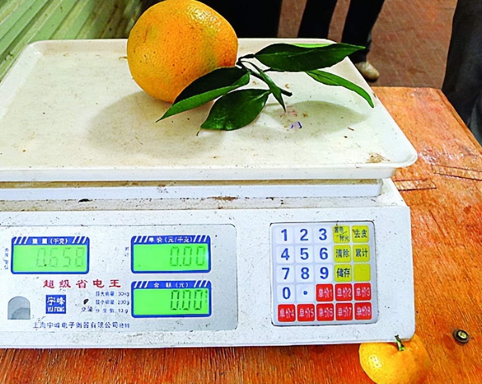 揭秘卖菜电子秤作假,菜市场秤作假方法