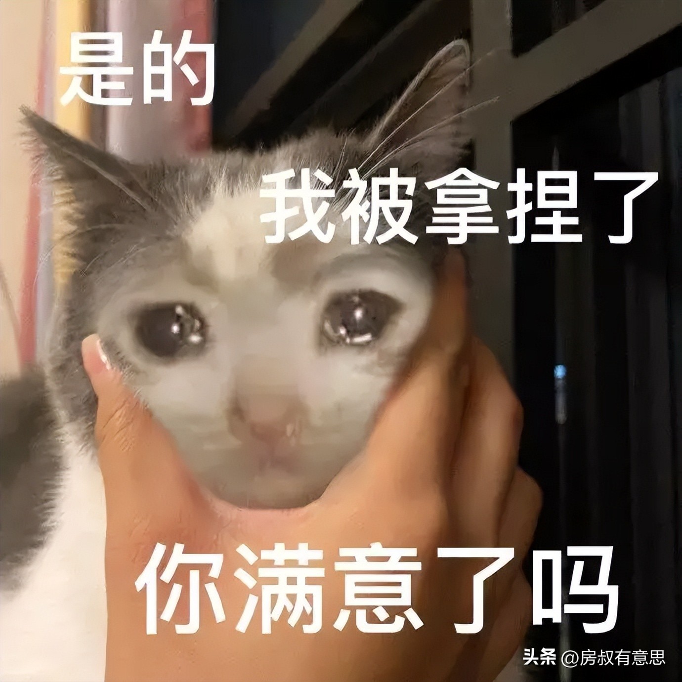 世界杯*球赌**，为什么你总在输钱？