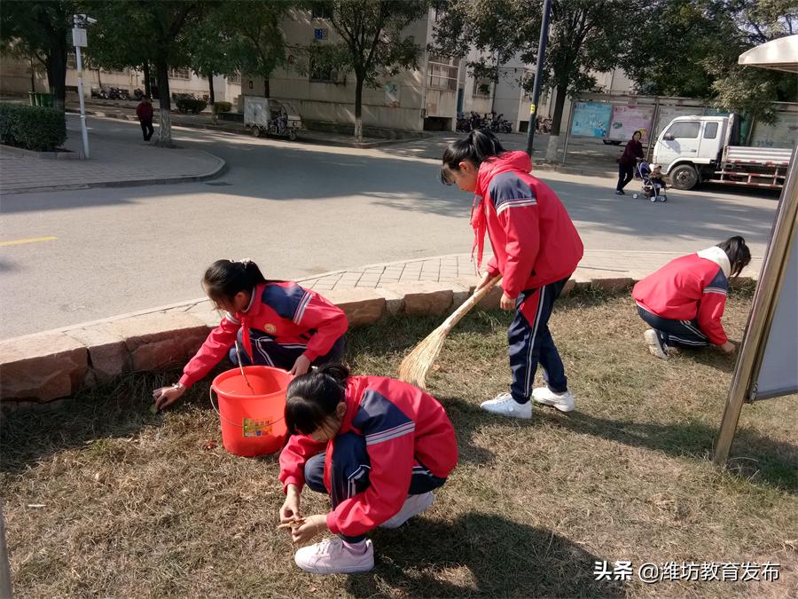 课后服务素质拓展活动,课后服务促进学生个性发展