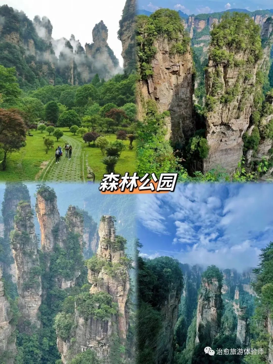 去张家界旅游景区住宿与交通攻略,张家界天气预报15天查询旅游攻略