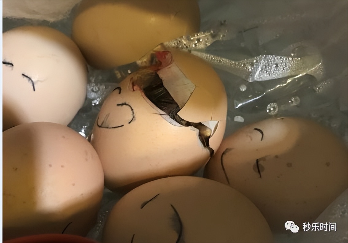 如何引导孩子对钱的认识,怎样教孩子对钱的认识