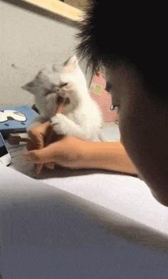 今日动图：前不久交了一位女朋友，昨天晚上约会时忍不住吻了她