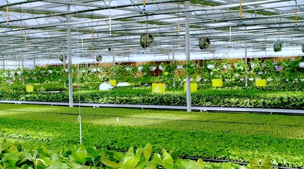 粮食不能自给的难题,中国粮食命脉