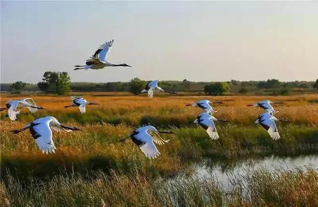 吉林必去十大景点推荐,吉林好玩的打卡圣地免费
