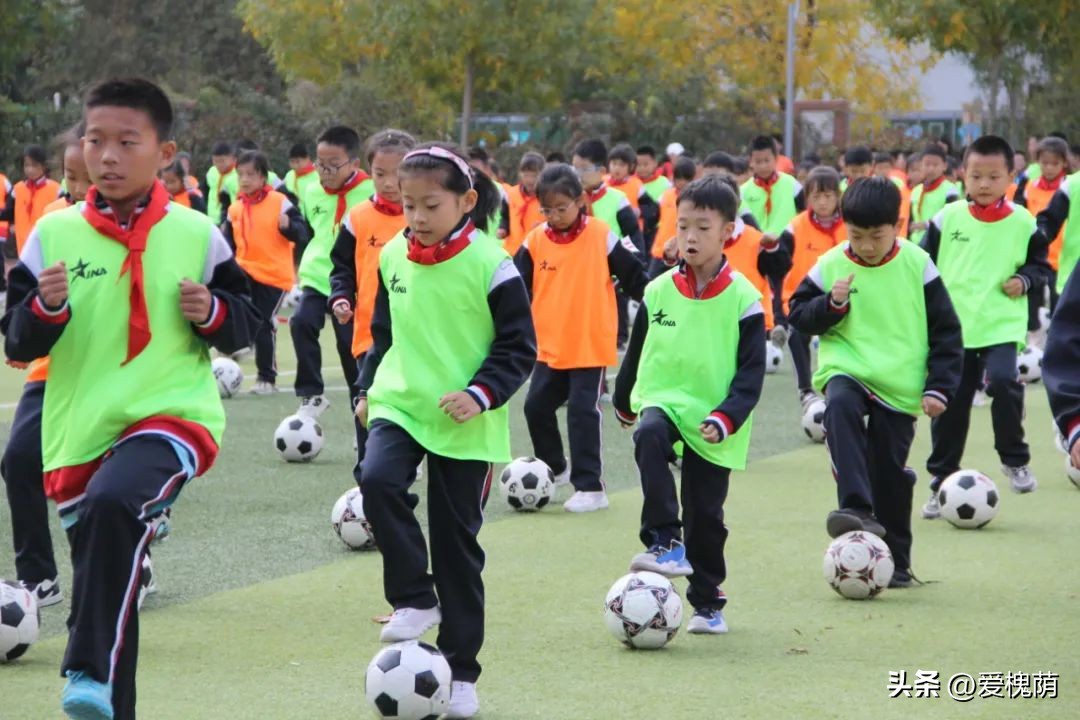 体彩杯足球赛小学,2024年历城区小学生足球比赛