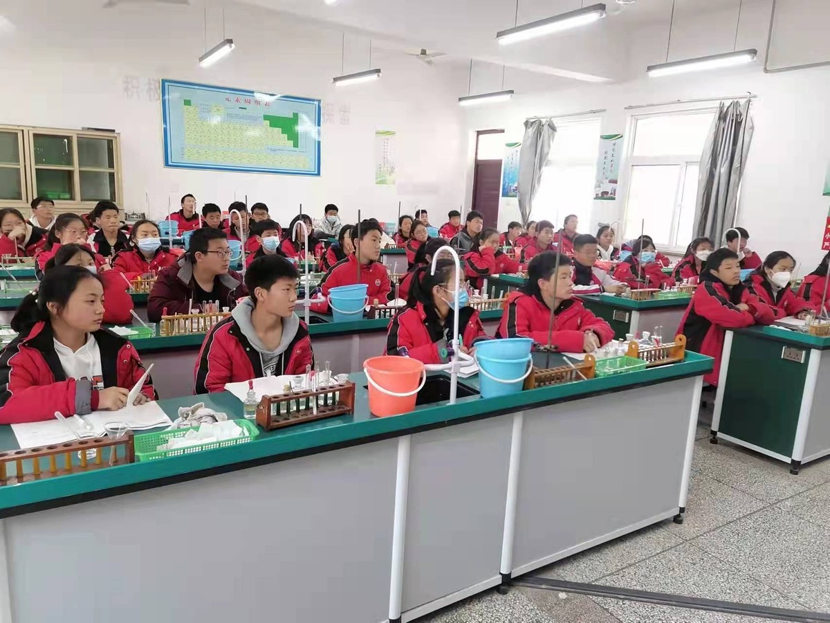 开封县第三十一中学,开封第三十一中学简介