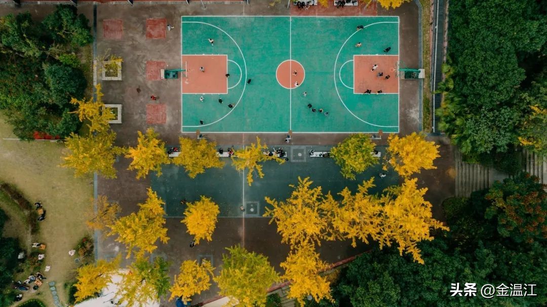 cba篮球场馆,成都cba篮球场馆