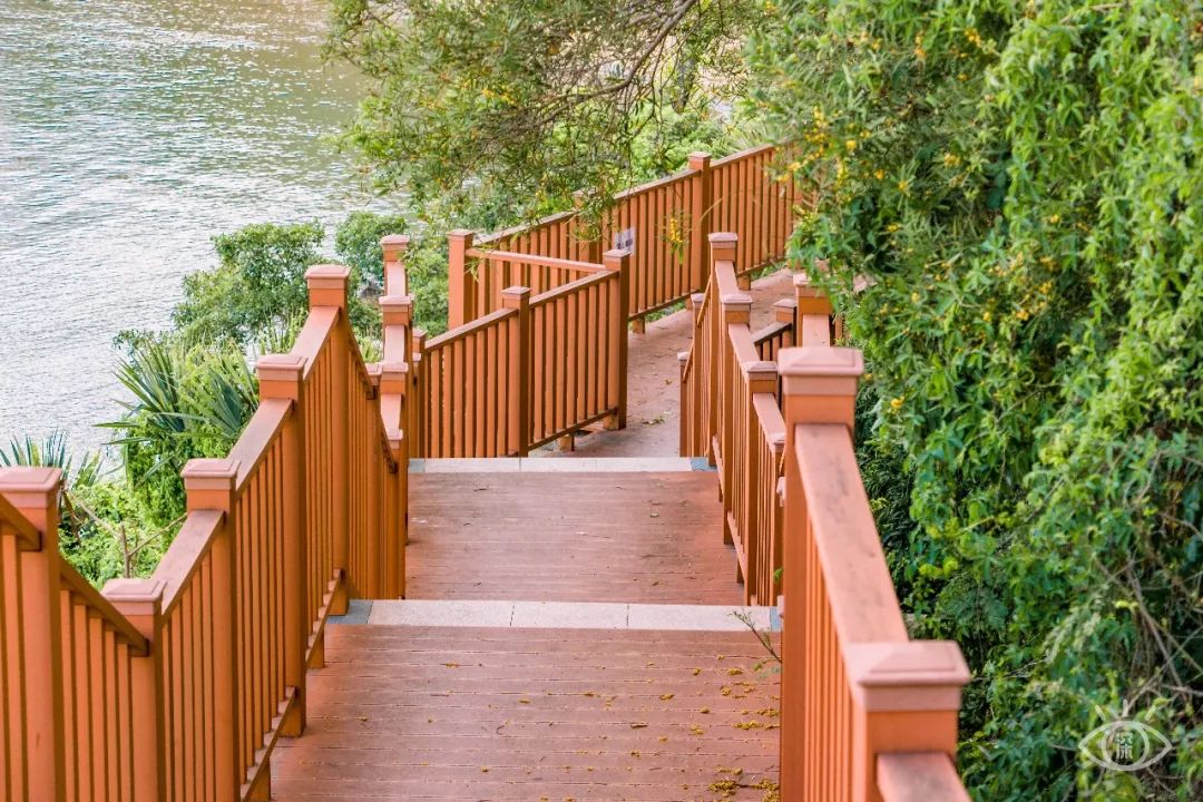 不用出国在深圳看到的美景,深圳有什么景点去看的不要钱的