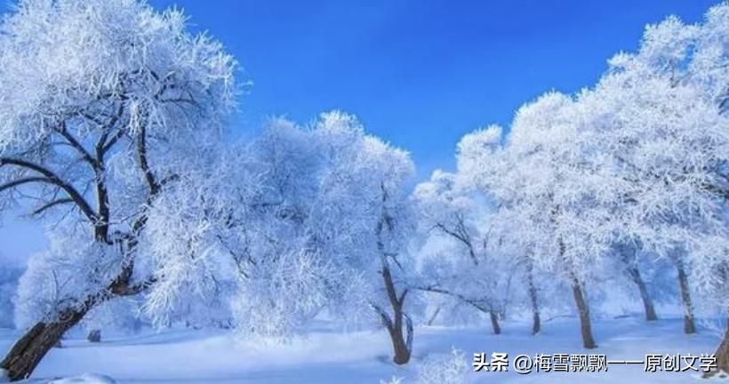 长篇当代军旅小说《军之恋·清冬栀子》（30）