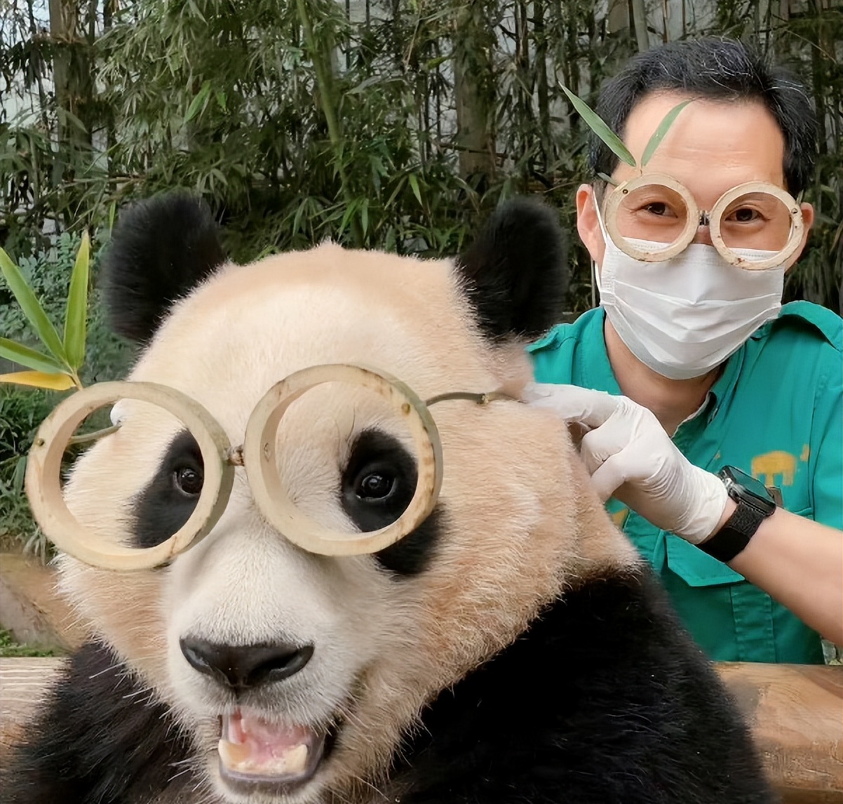 多少人关注丫丫,现在有多少人在关注丫丫