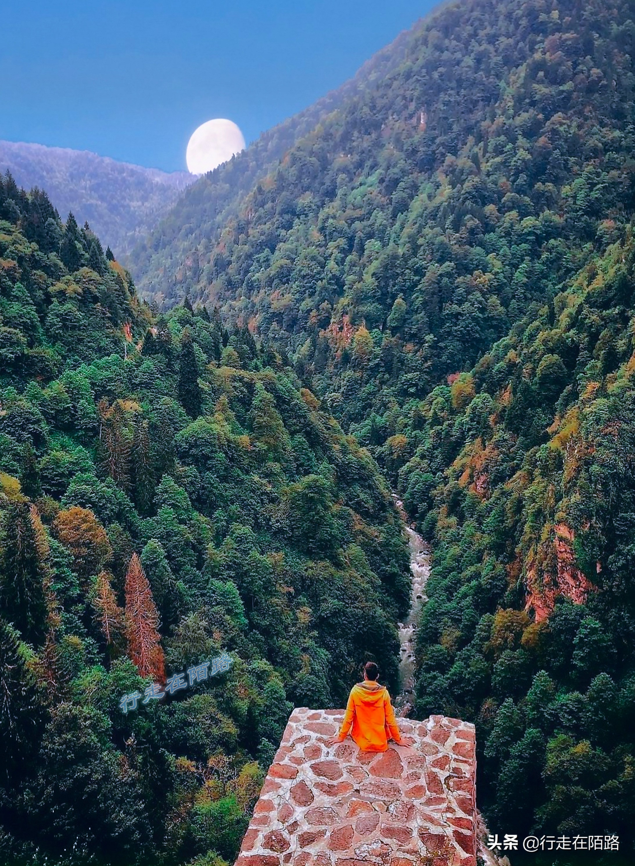 土耳其人茶文化,土耳其中文向导