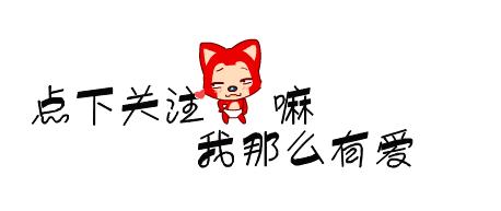 养金毛的注意事项,金毛幼犬刚到家的注意事项