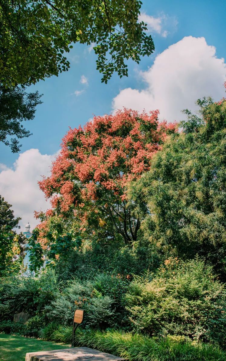 实用全上海532家公园攻略速速收藏,上海攻略必去的公园