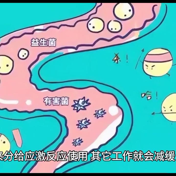 观赏鱼肠炎的症状有哪些,观赏鱼肠炎的治疗方法