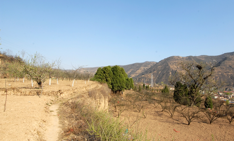 清明节是我们对故人的怀念,记录一次印象当中的清明节的记忆