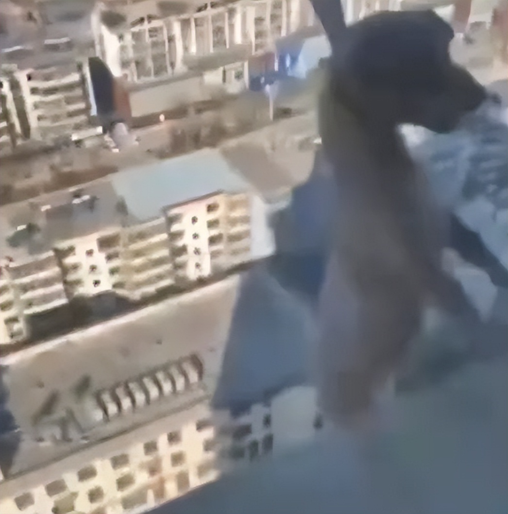 6岁公主活成“脚链囚徒”,背后的动物表演让人心疼