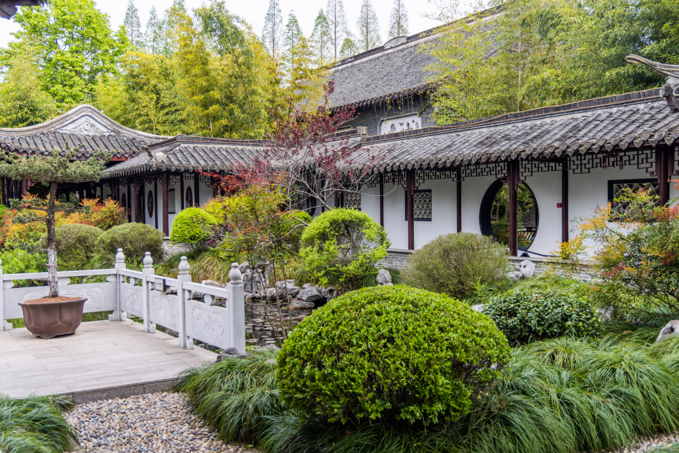 春日下江南杭州,泰州一日游攻略美食
