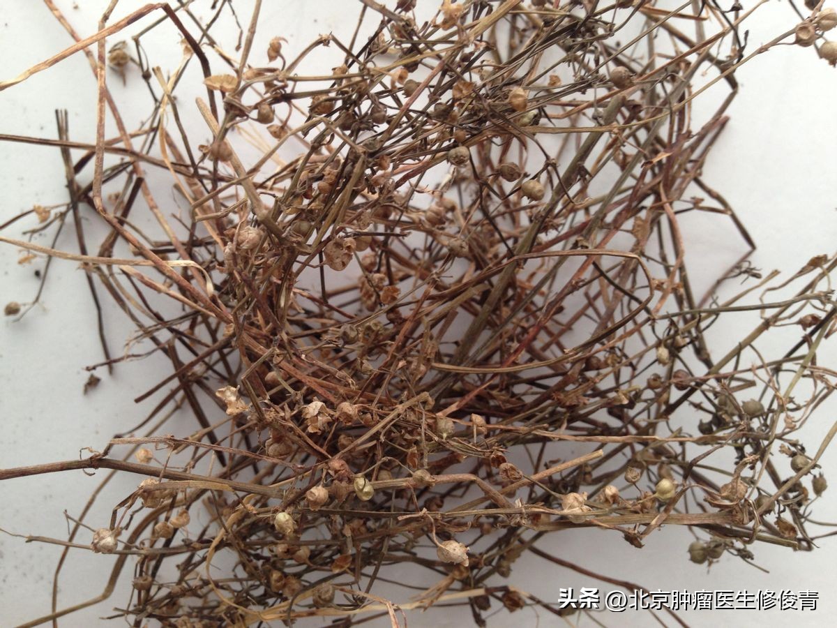 鼻咽癌放疗后之中医阶段治疗对策,鼻咽癌中医治疗验方