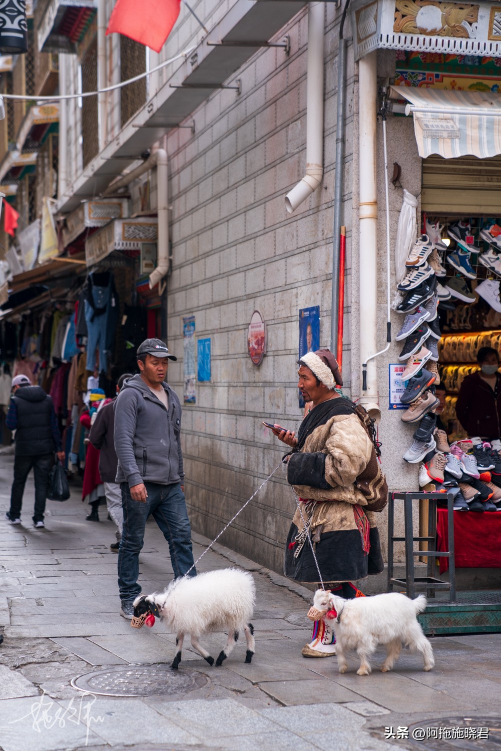 回到拉萨旅行,去拉萨的旅行攻略