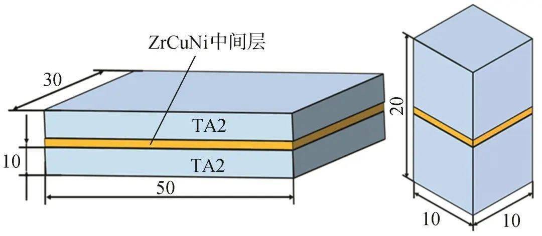 钨酸钠对Ti－Ni合金Ni－W－P化学镀层组织性能的影响