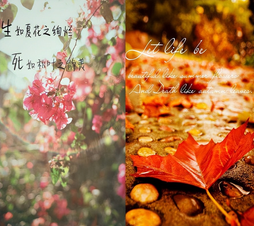 “约死群”有多可怕？群里待久后，不想死也会被人怂恿去死!