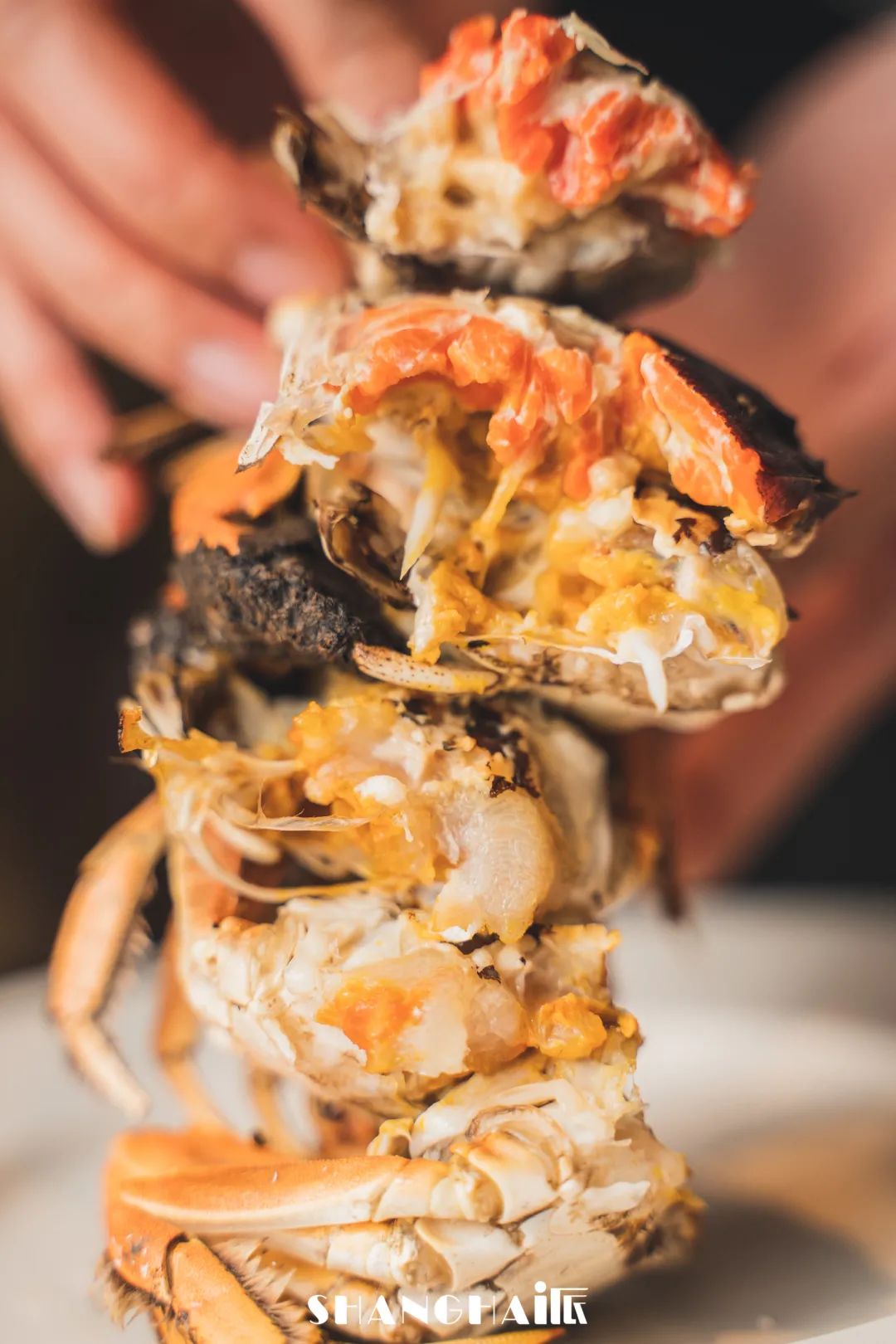 上海五角场凯悦酒店自助早餐,上海五角场凯悦酒店订餐