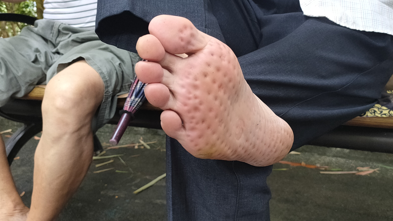 足疗按摩袜发明人老杨：揭秘古人智慧，实现的高效足疗按摩技术