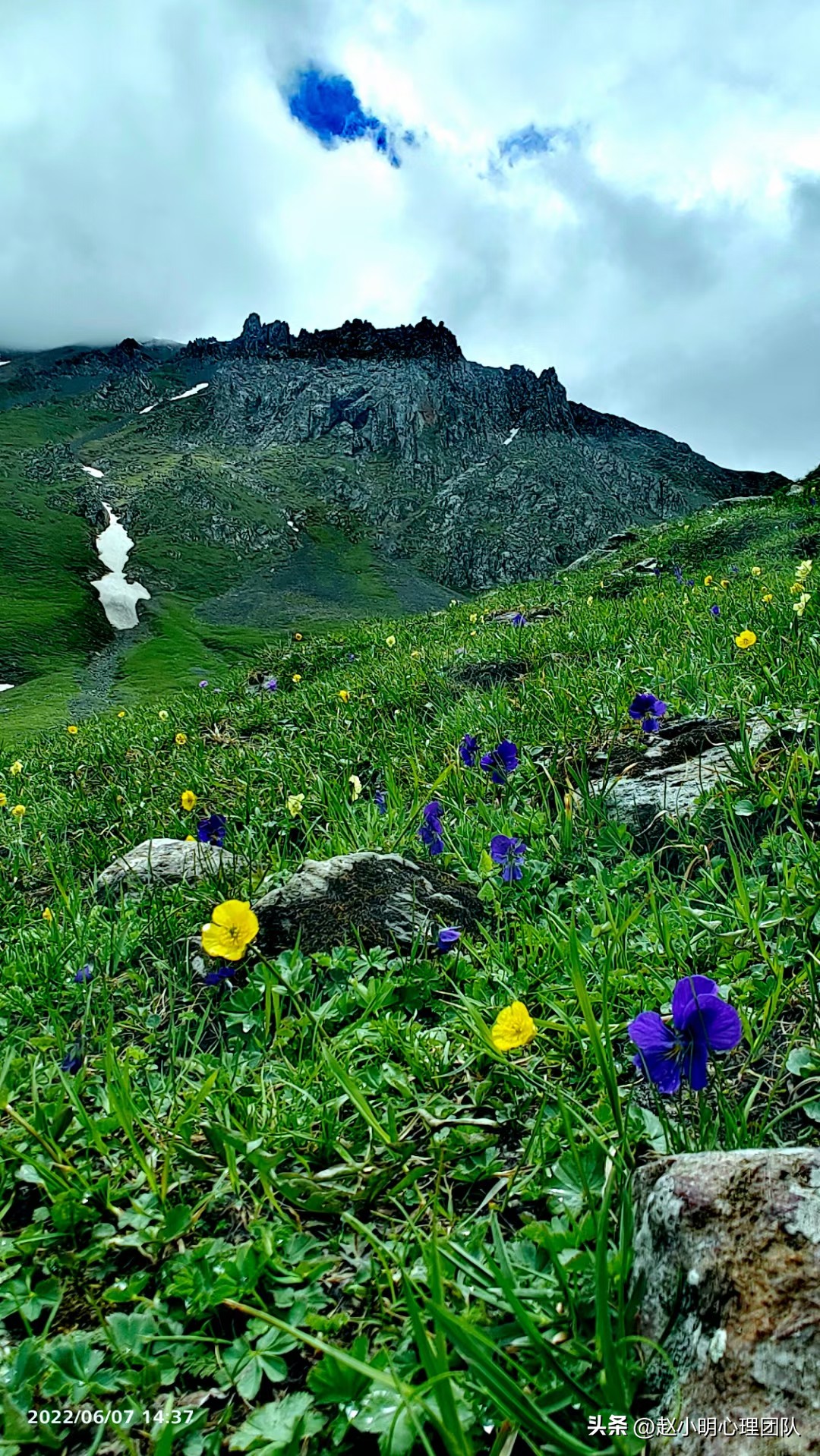 赵小明有效思维,赵小明心理学是哪个流派