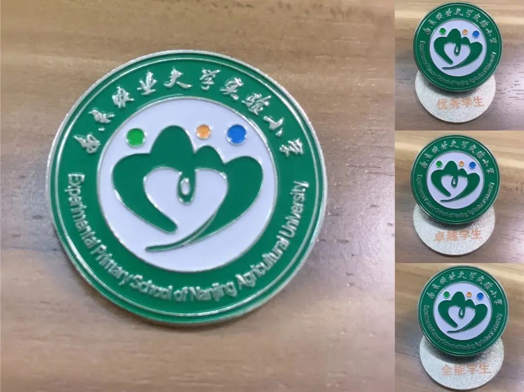 南京农业大学实验小学在哪里,2020南京农业大学实验小学