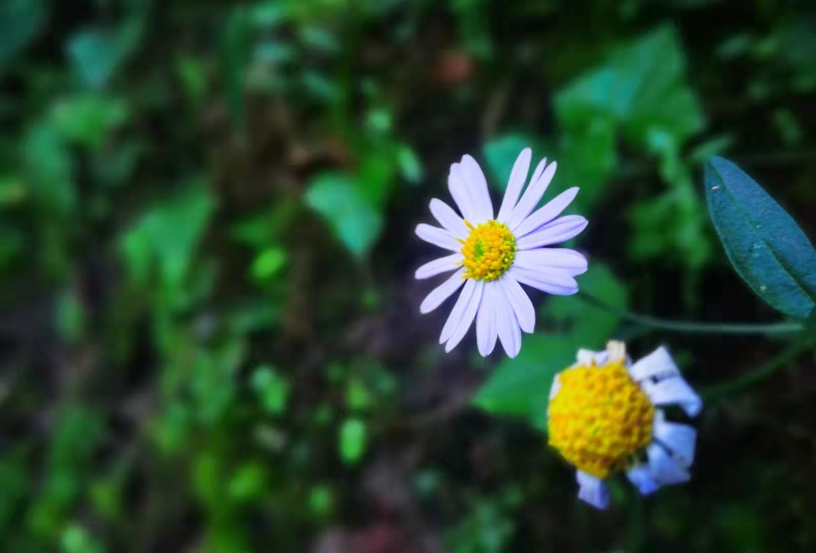 净利润同比下降四成,净利润腰斩