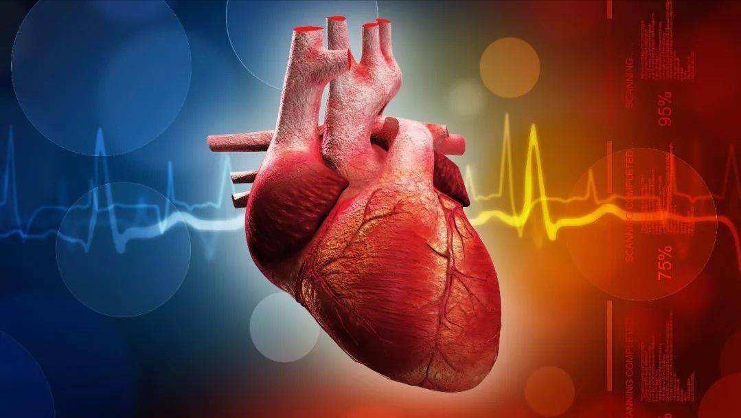 心脏支架手术做了还会堵,还有必要做吗?做与不做取决于这一点