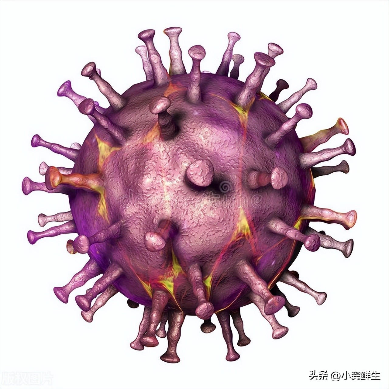 哺乳仔猪死亡率怎么算,降低哺乳仔猪死亡率培训