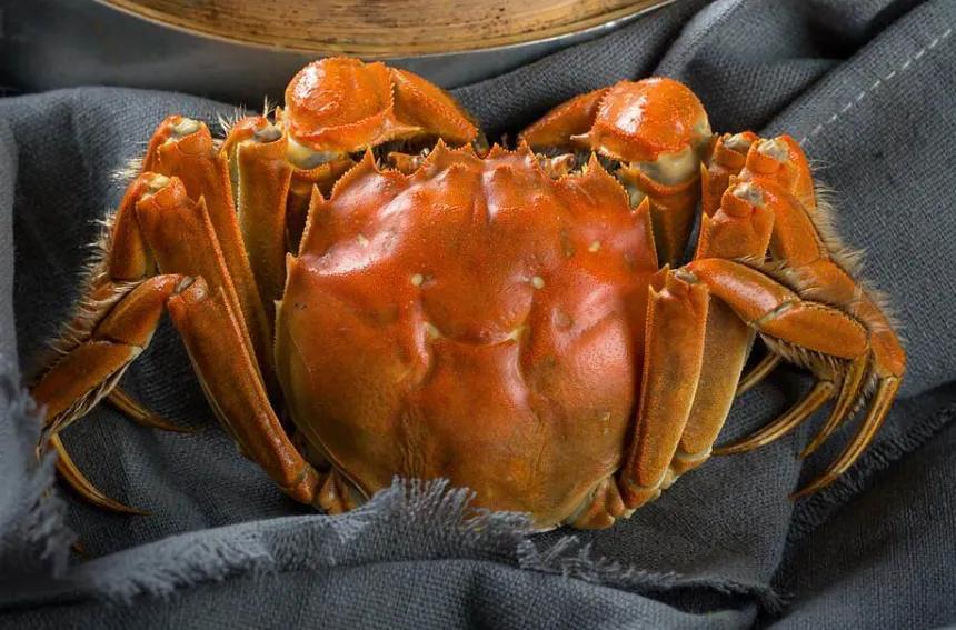 吃螃蟹有什么不一样,关于吃螃蟹的句子