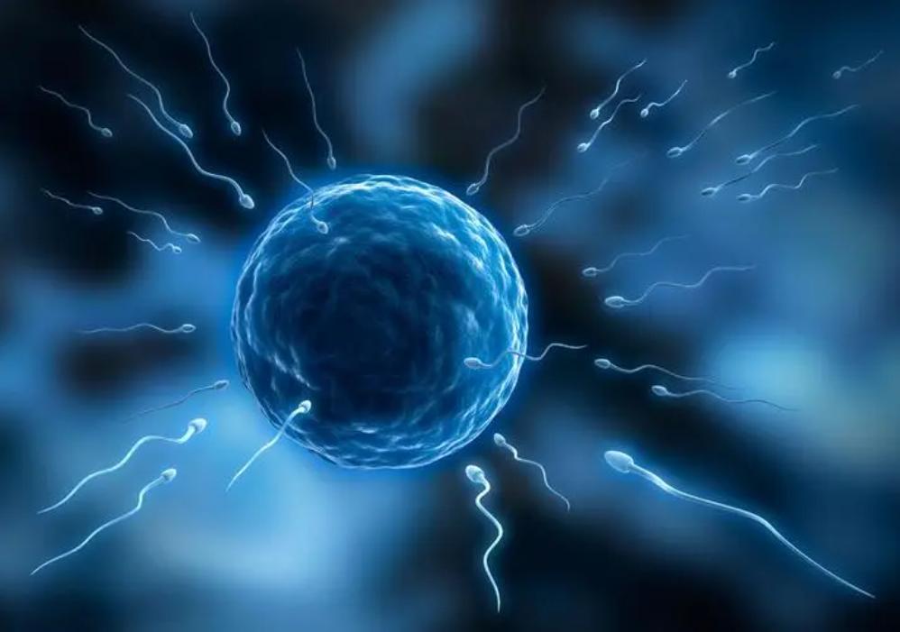 鍒敤杩欑鏂瑰紡瀵瑰緟浣犵埍鐨勪汉,涓嶈鐢ㄨ嚜宸辩殑鏂瑰紡瀵瑰緟浣犵殑濂充汉