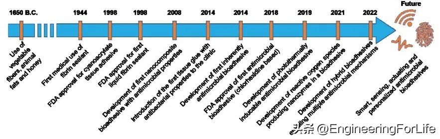 《AM》综述：对具有抗菌性能生物粘合剂的深度剖析