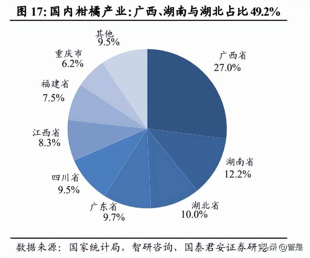 洪九果品年度报告,洪九果品鲜果供应链
