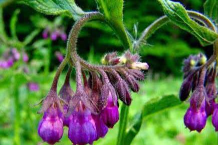 对付多囊，只用一个方子，补肾化瘀，滋阴敛血，简单有效