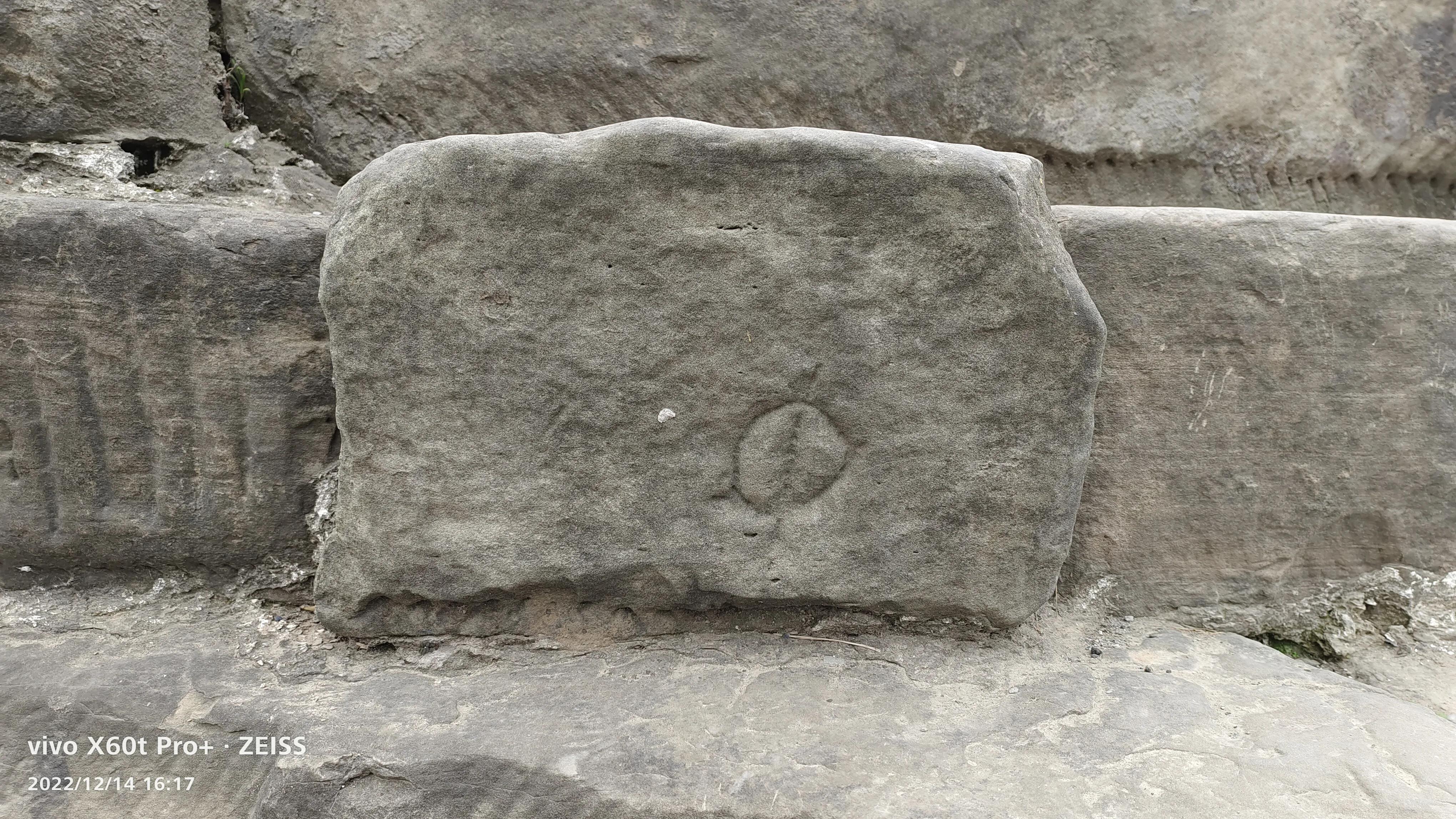 阆中鱼翅广场历史介绍,阆中鱼翅遗迹