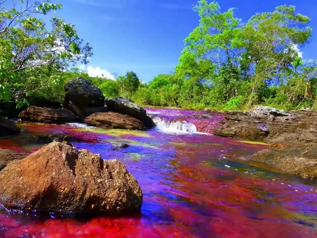 萨尔瓦多冷知识,你不知道的国家冷知识萨尔瓦多