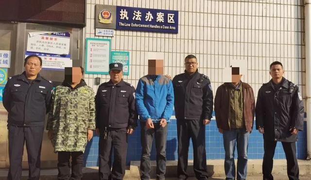 150只野兔被抓,3只野兔被抓