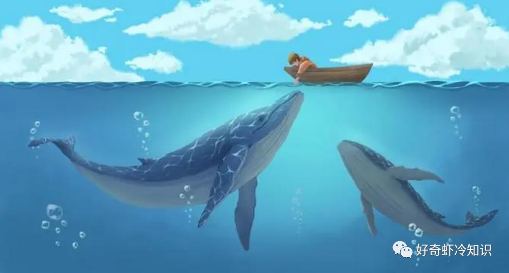 鱼类能发出声音?小朋友你是否有很多问好?飞在汽车里的苍蝇问题