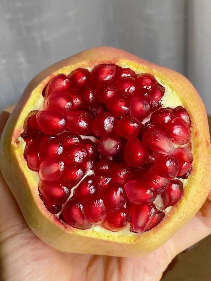 健康养生的零食都有哪些,健康养生零食大全