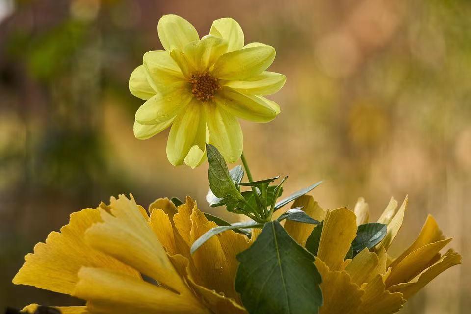 友达以上恋人未满?不清不楚的关系,失去比拥有更踏实!