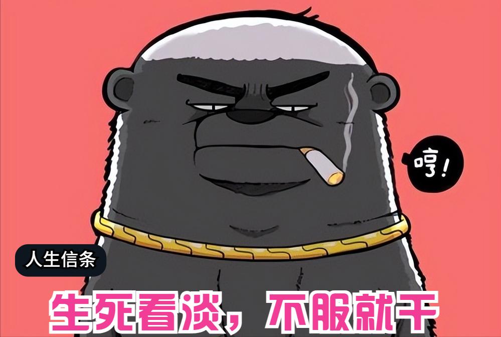 平头哥雷军简介,雷军平头哥对话