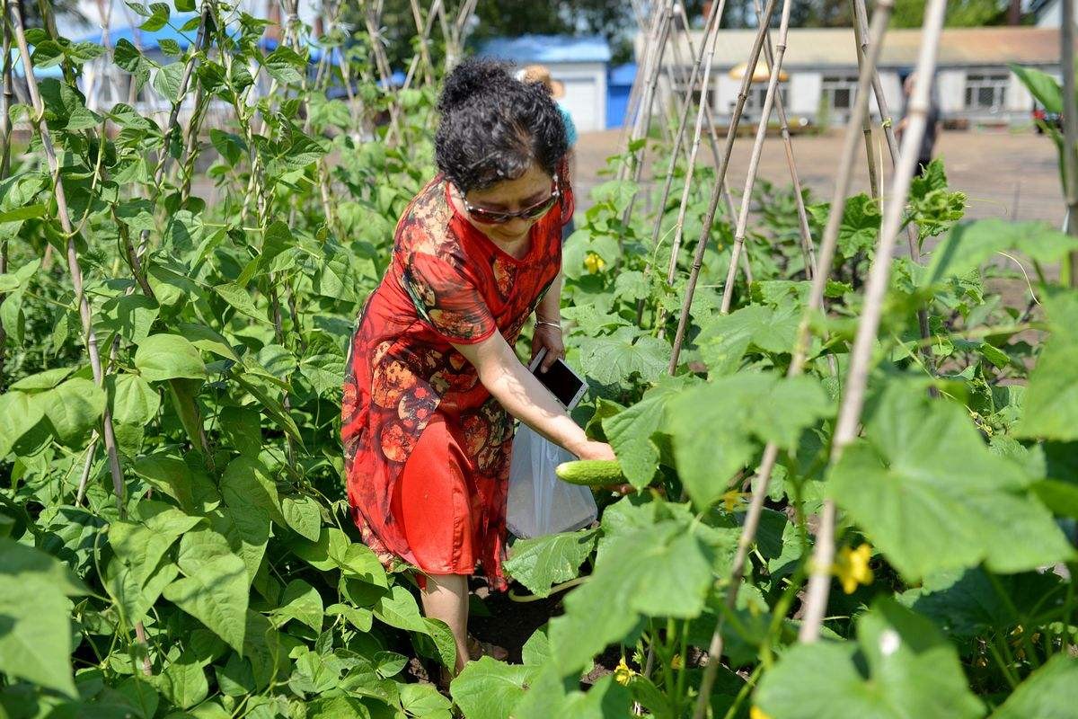 67岁和老伴每月退休金,我和老伴都70多了有高龄补贴吗