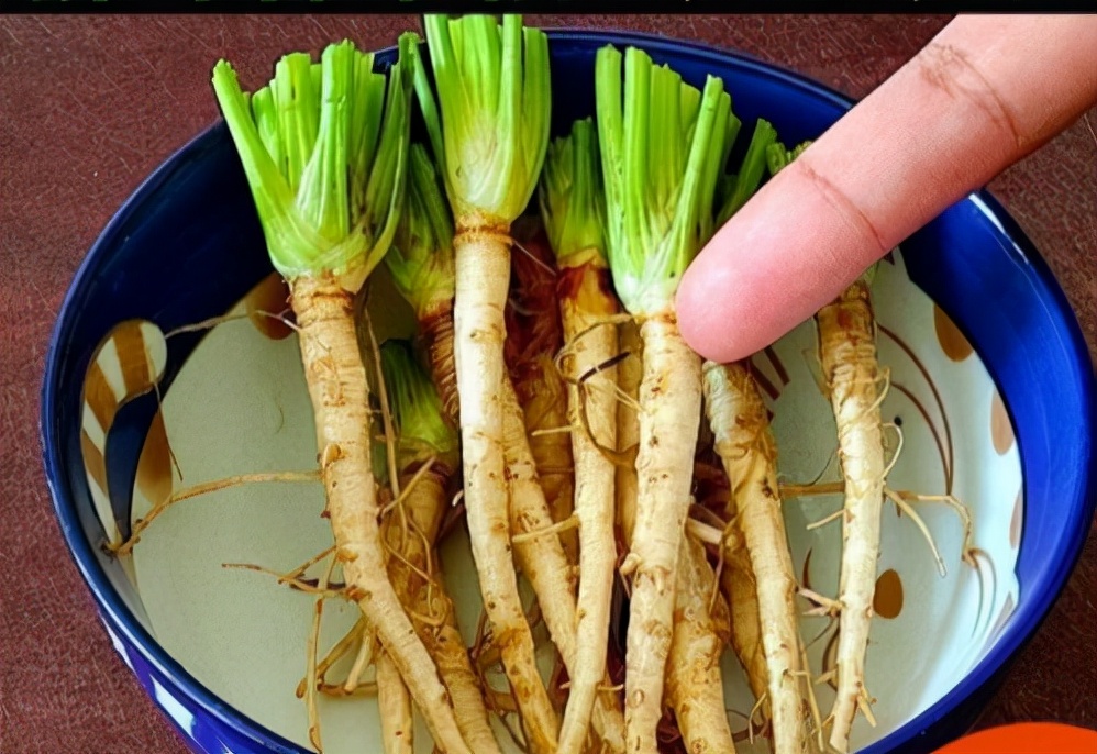 阳台种菜可以多茬采收,在阳台种菜最快采收的五种蔬菜