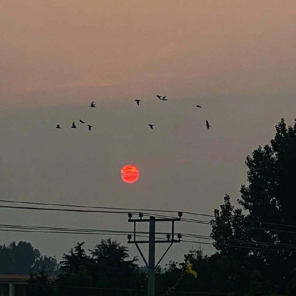 微信背景图和你在一起系列,微信背景图秋冬落叶